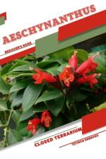 Aeschynanthus af Tetiana Sabanen