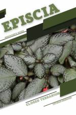 Episcia af Tetiana Sabanen