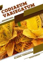 Codiaeum variegatum af Tetiana Sabanen