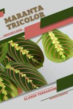 Maranta tricolor af Tetiana Sabanen