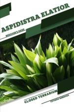 Aspidistra elatior af Tetiana Sabanen