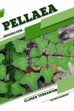 Pellaea af Tetiana Sabanen