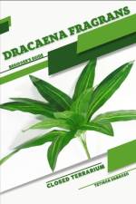 Dracaena fragrans af Tetiana Sabanen