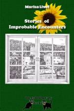 Stories of Improbable Encounters af Marisa Livet