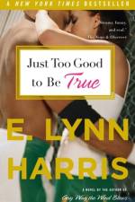 Just Too Good to Be True af E Lynn Harris