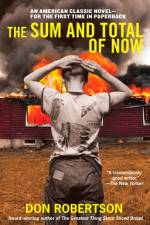The Sum and Total of Now af Don Robertson