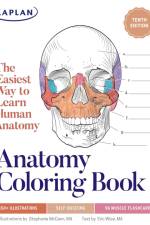 Anatomy Coloring Book with 450+ Realistic Medical Illustrations with Quizzes for Each af Stephanie McCann
