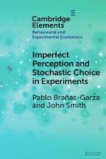 Imperfect Perception and Stochastic Choice in Experiments af Pablo Brañas-Garza