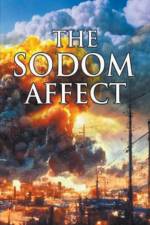 The Sodom Affect af Buddy Owens