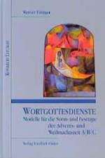 Wortgottesdienste. Modelle für die Sonn- und Festtage der Advents- und Weihnachtszeit A/B/C af Werner Eizinger