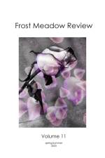 Frost Meadow Review Volume 11 af Jackie Matthews