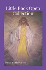 Little Book Open Collection BW af David Butterworth
