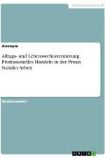Alltags- und Lebensweltorientierung. Professionelles Handeln in der Praxis Sozialer Arbeit af Anonymous