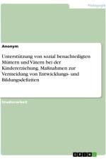 Unterstützung von sozial benachteiligten Müttern und Vätern bei der Kindererziehung. Maßnahmen zur Vermeidung von Entwicklungs- und Bildungsdefiziten af Anonymous