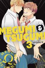 Megumi & Tsugumi, Vol. 3 af Mitsuru Si