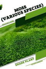 Moss (Various species) af Tetiana Sabanen