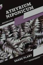 Athyrium niponicum af Tetiana Sabanen