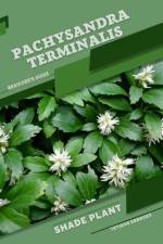 Pachysandra terminalis af Tetiana Sabanen