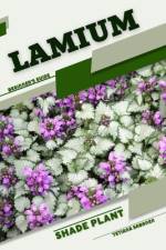 Lamium af Tetiana Sabanen