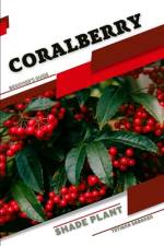Coralberry af Tetiana Sabanen