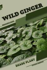 wild ginger af Tetiana Sabanen
