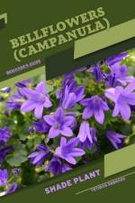 Bellflowers (Campanula) af Tetiana Sabanen