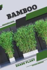 Bamboo af Tetiana Sabanen