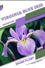 Virginia Blue Iris af Tetiana Sabanen