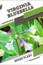 Virginia Bluebells af Tetiana Sabanen