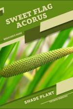 Sweet Flag Acorus af Tetiana Sabanen