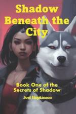Shadow Beneath the City af Joel Hopkinson