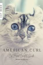 American Curl af Ruslana Shurpatenko