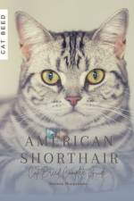 American Shorthair af Ruslana Shurpatenko