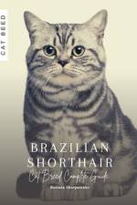 Brazilian Shorthair af Ruslana Shurpatenko
