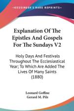 Explanation Of The Epistles And Gospels For The Sundays V2 af Leonard Goffine