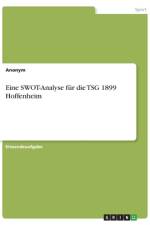 Eine SWOT-Analyse für die TSG 1899 Hoffenheim af Anonym