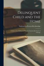 Delinquent Child and the Home: A Study of the Delinquent Wards of the Juvenile Court of Chicago af Sophonisba Preston Breckinridge