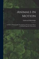 Animals in Motion af Eadweard 1830-1904 Muybridge
