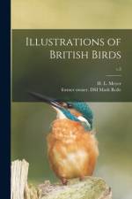 Illustrations of British Birds; v.3 af H. L. (Henry Leonard) D. Meyer