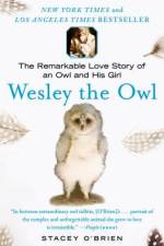 Wesley the owl af Stacey O'Brien