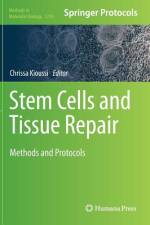 Stem Cells and Tissue Repair af Chrissa Kioussi