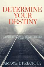 Determine Your Destiny af Amoye Izosu