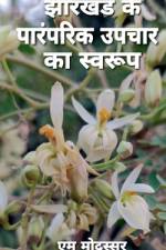 Jharkhand Me Paramparik Upchar Ka Swaroop / झारखंड में पारंपर af M. Modassar