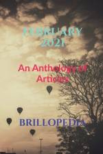 February 2021 af Brillopedia