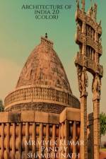 Architecture of india 2.0 (Color) af Vivek Pandey