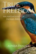 True Freedom af Avnija Pandey