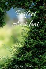 Perfect Accident af Rashmi Sinha