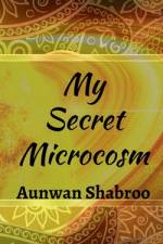 My Secret Microcosm af Aunwan Shabroo