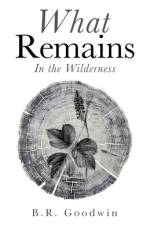 What Remains af B R Goodwin