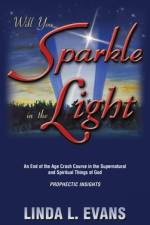 Will You Sparkle in the Light af Linda L Evans